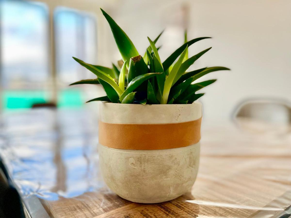 Apartament Colmar - La Cigogne - Balcon - Vue Degagee - Netflix - Wifi Fibre - Parking Gratuit - Quartier Populaire Zewnętrze zdjęcie