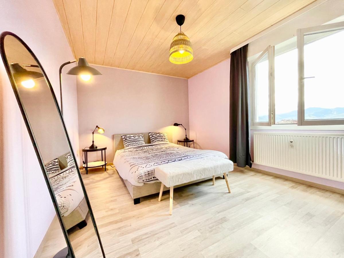 Apartament Colmar - La Cigogne - Balcon - Vue Degagee - Netflix - Wifi Fibre - Parking Gratuit - Quartier Populaire Zewnętrze zdjęcie